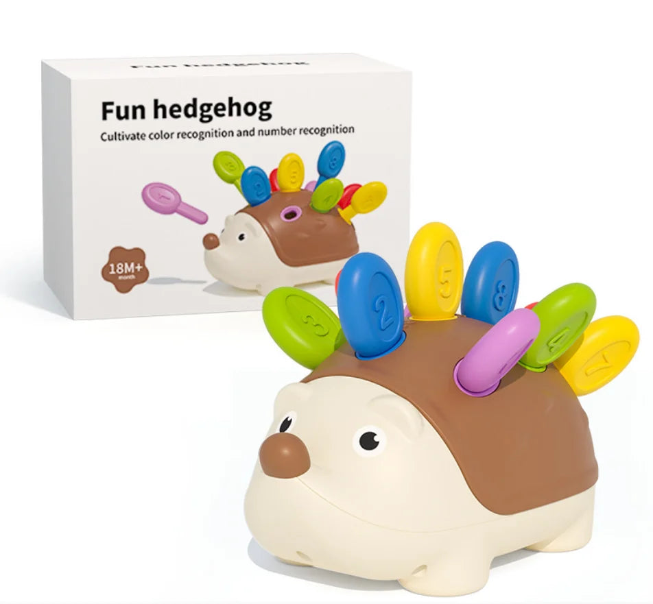 Hedgehog Montessori Sensory Toys
