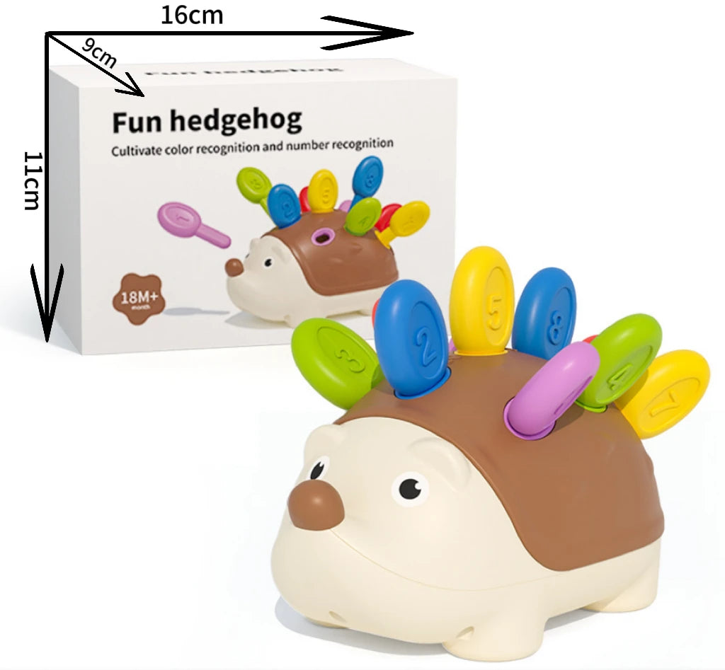 Hedgehog Montessori Sensory Toys
