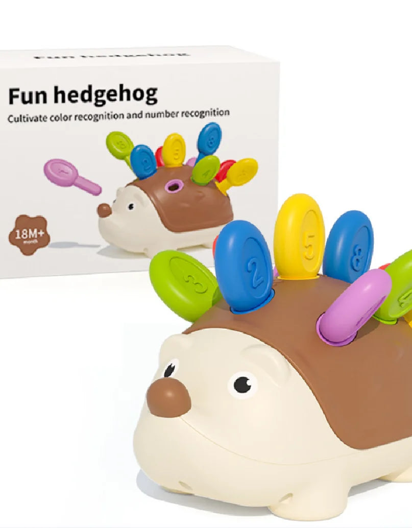 Hedgehog Montessori Sensory Toys