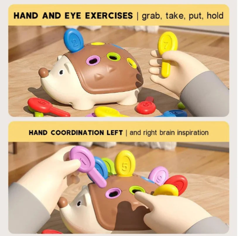 Hedgehog Montessori Sensory Toys