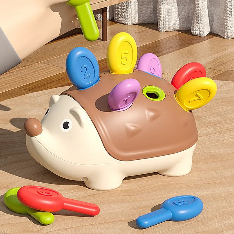 Hedgehog Montessori Sensory Toys