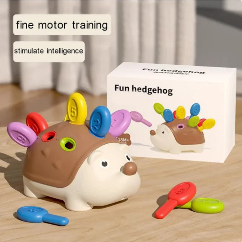 Hedgehog Montessori Sensory Toys
